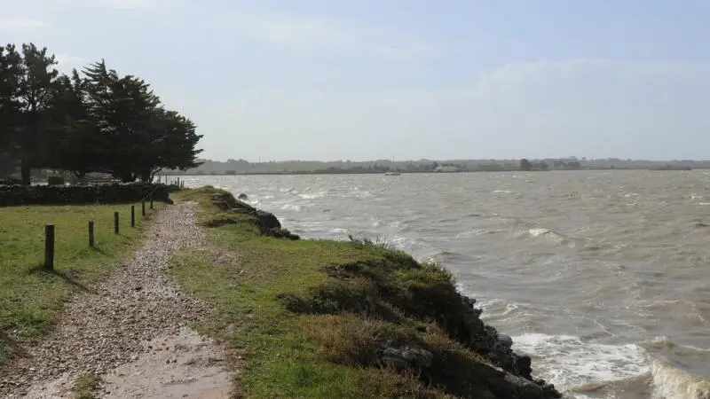 Salzwiesen bei Saint-Armel vor der Ile Tascon