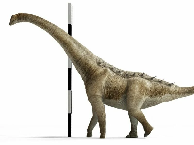 Neuer Langhals-Dinosaurier in Spanien entdeckt