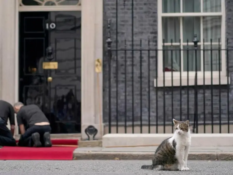 Kater Larry von 10 Downing Street