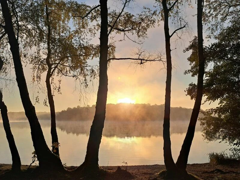 Morgennebel in Duisburg