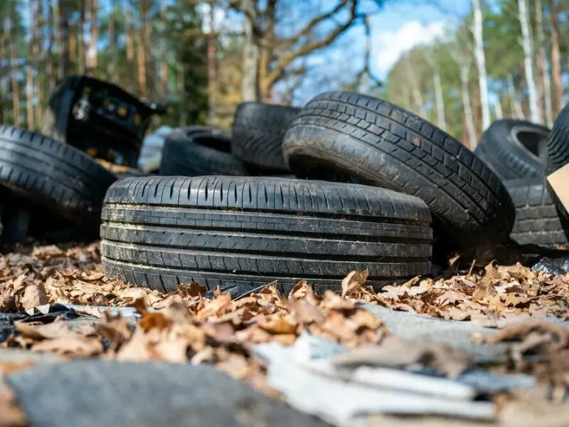 Illegale Müllentsorgung im Wald