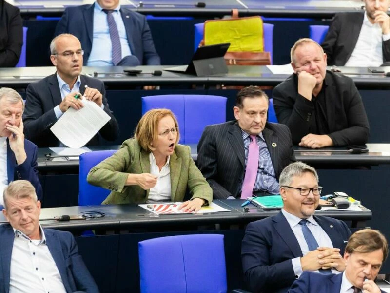 AfD im Bundestag