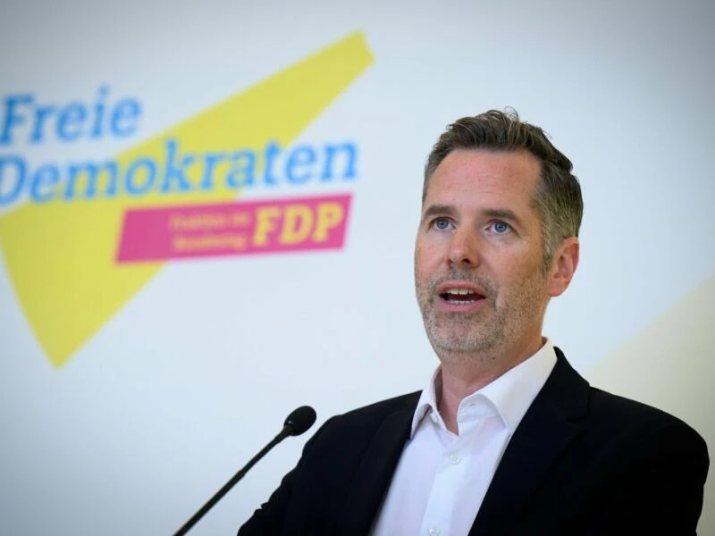 FDP-Fraktionschef Dürr