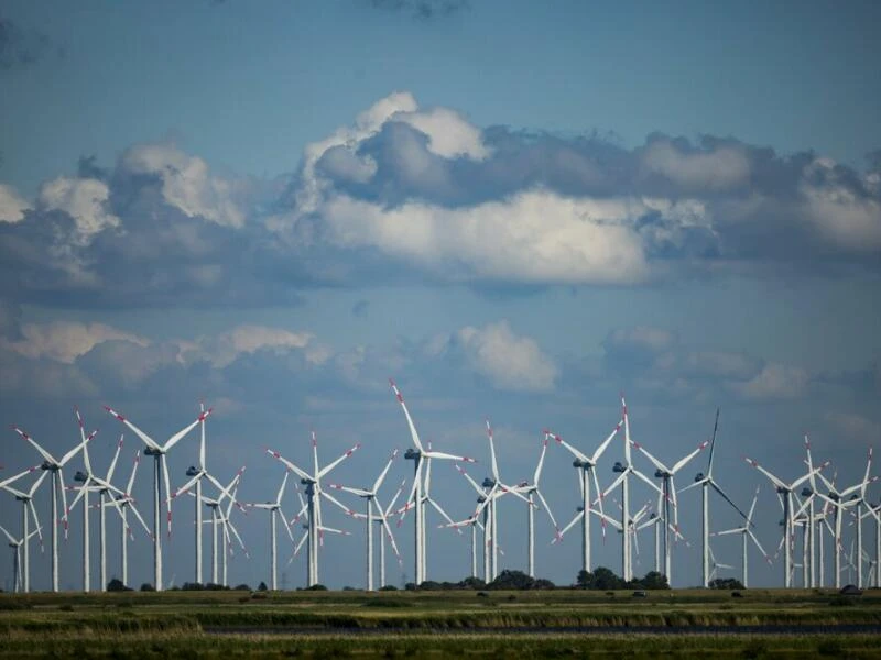 Windpark an der Nordsee