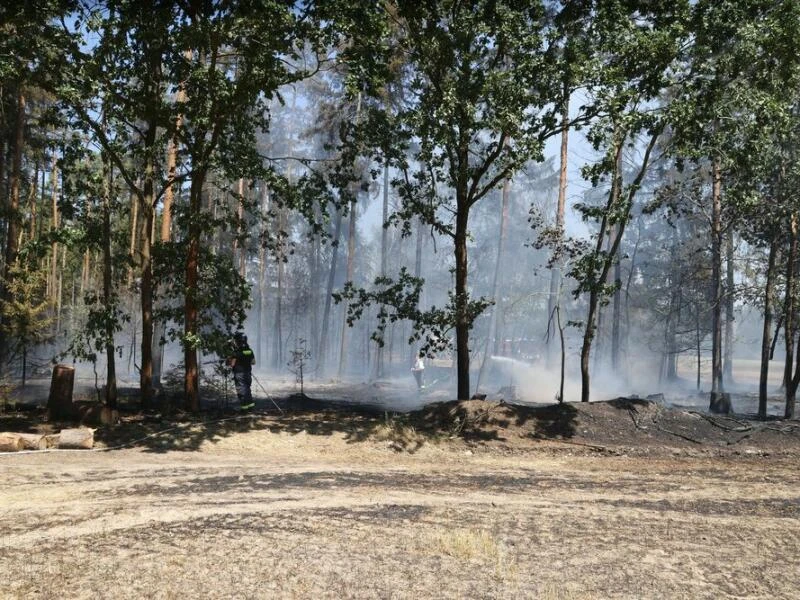 Waldbrand in Thüringen