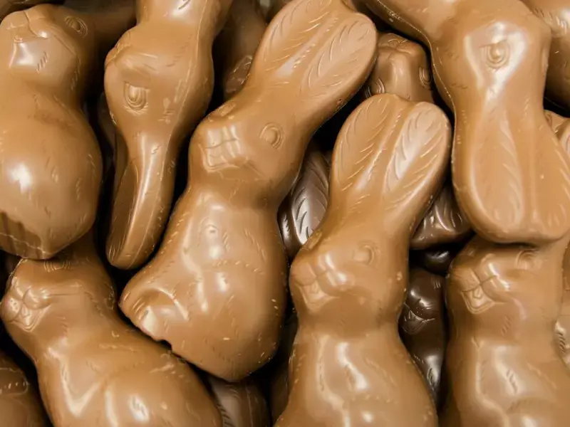Schokoladen-Hasen