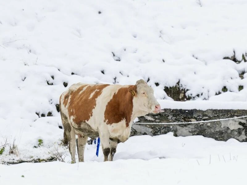 Winterwetter in Österreich