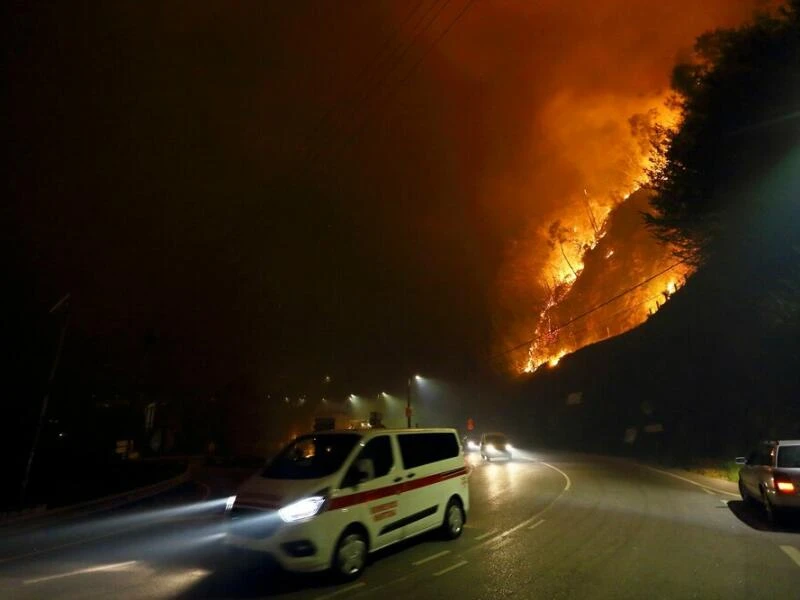 Waldbrände in Portugal