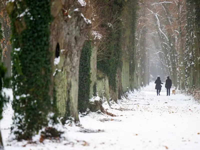 Wetter in Potsdam - Winter