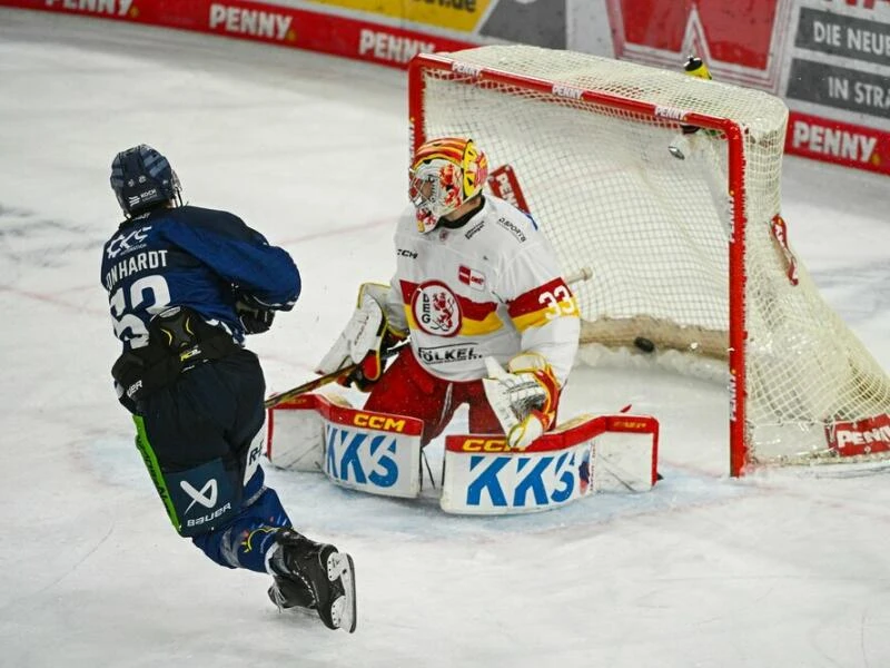 Straubing Tigers - Düsseldorfer EG