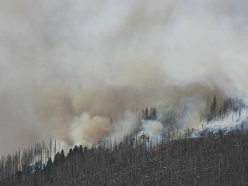 Brand am Königsberg im Harz