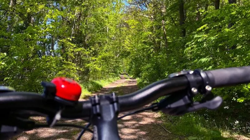 Mit dem Fahrrad auf der Via Baltica