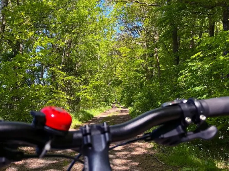 Mit dem Fahrrad auf der Via Baltica