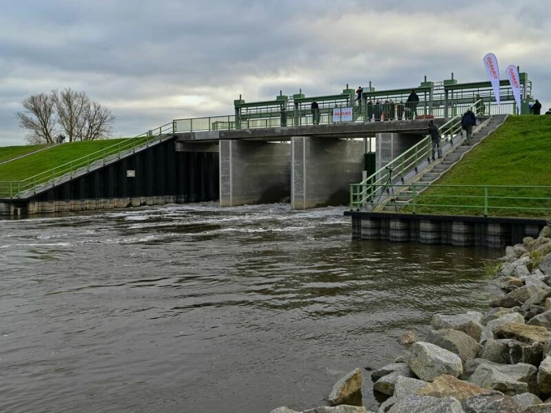 Wasser strömt in den Nationalpark Unteres Odertal