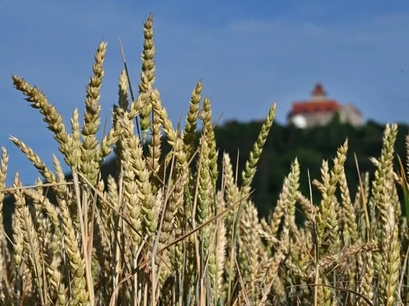 Agrar in Thüringen