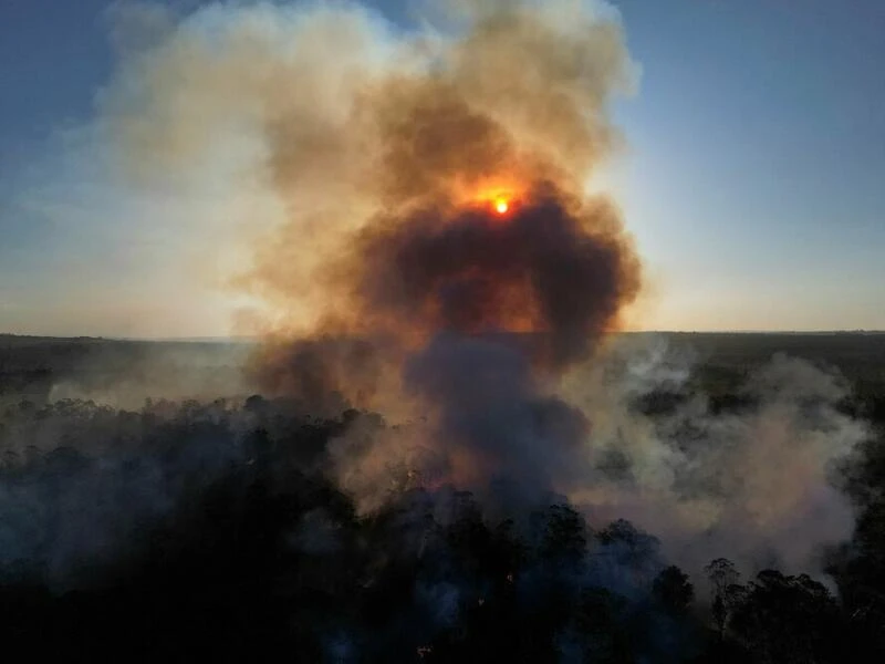 Waldbrände in Brasilien