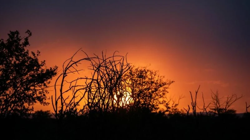 Sonnenuntergang im Ongava Reserve