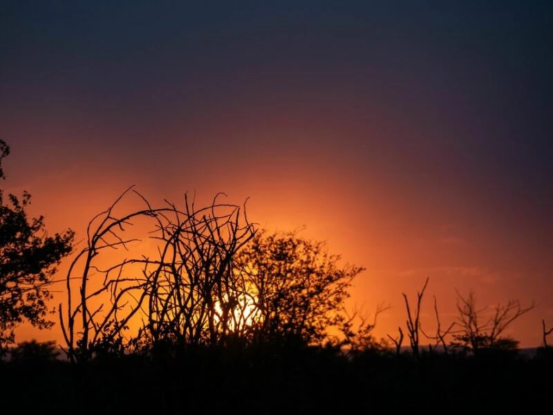 Sonnenuntergang im Ongava Reserve