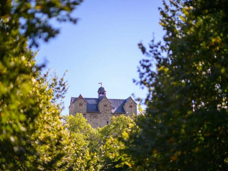 Schloss Ballenstedt