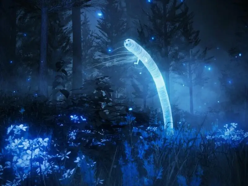 Screenshot aus: «Elden Ring – Shadow of the Erdtree»