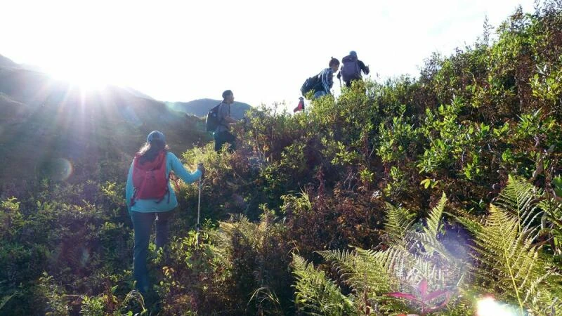 Bushwacking in Alaska