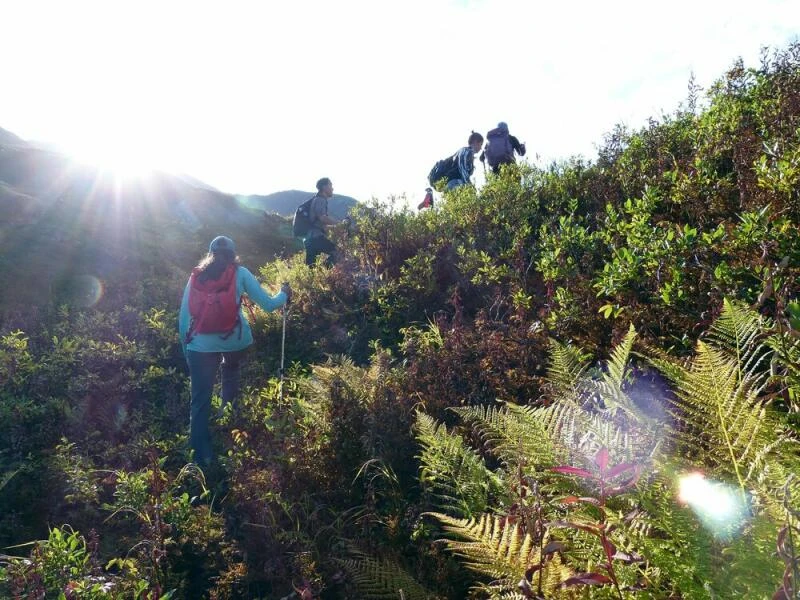 Bushwacking in Alaska