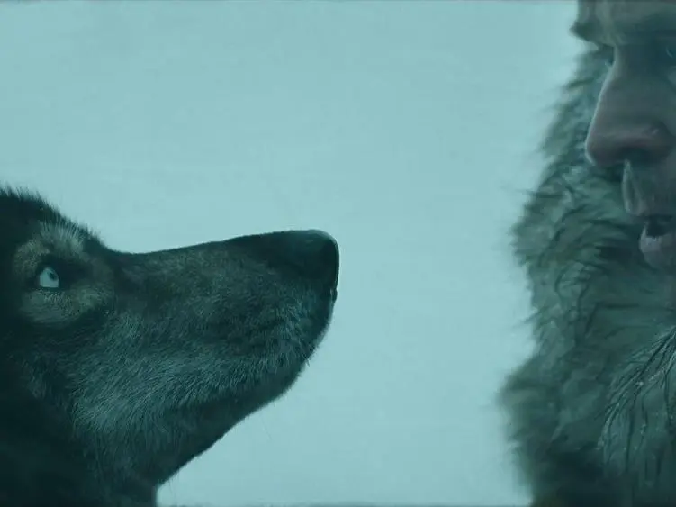 Die besten Hunde-Szenen: 6 unvergessliche Filmszenen mit krassen Fellnasen