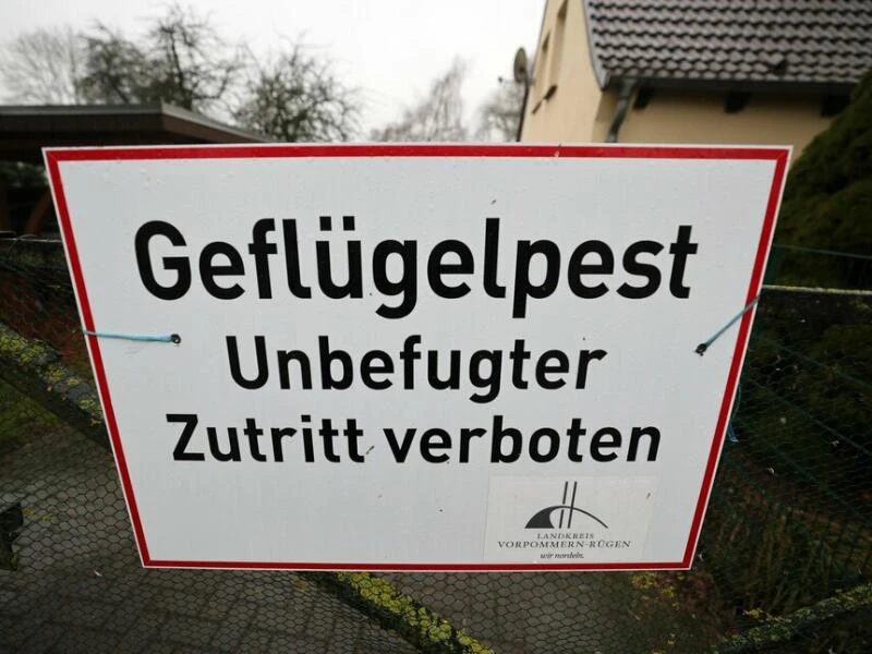 Geflügelpest