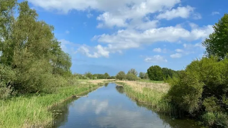 Fluss Ryck bei Greifswald