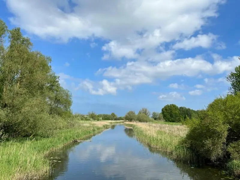 Fluss Ryck bei Greifswald