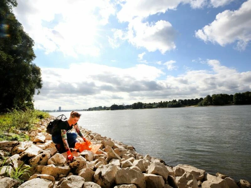 RhineCleanUp mit der Müllsammel-Initiative