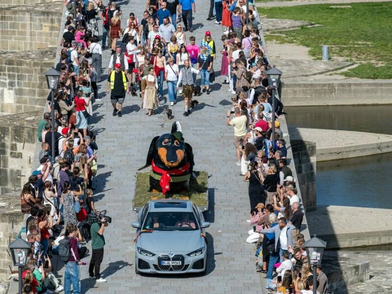 Dackelparade in Regensburg