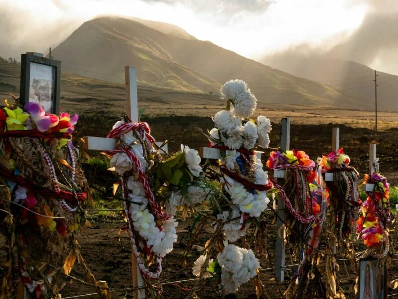 Nach den Waldbränden auf Hawaii