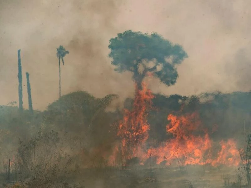 Waldbrände im Amazonasgebiet