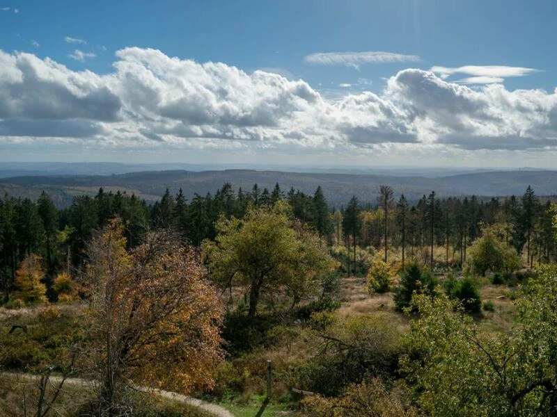 Nationalpark Hunsrück-Hochwald