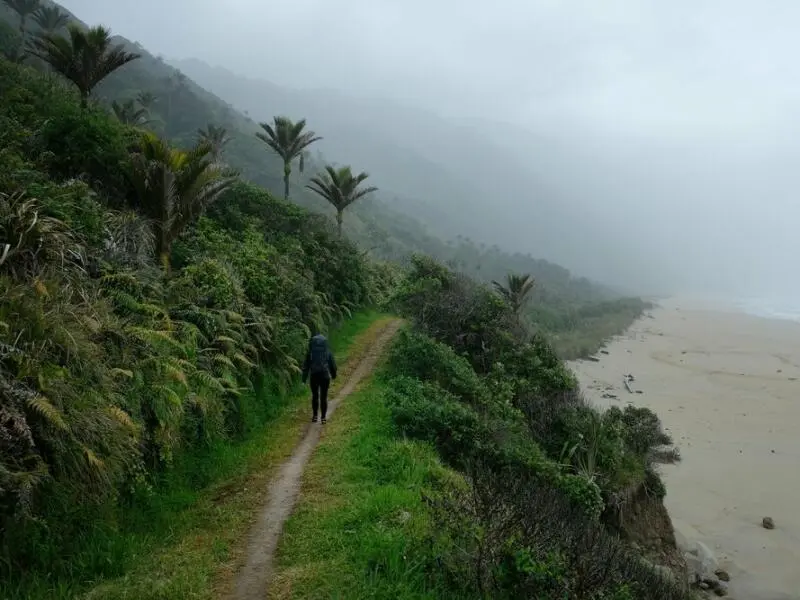 Heaphy Track in Neuseeland
