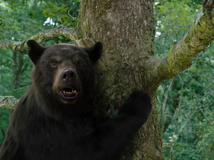 Filme wie Cocaine Bear: Hier spielen Tiere total verrückt