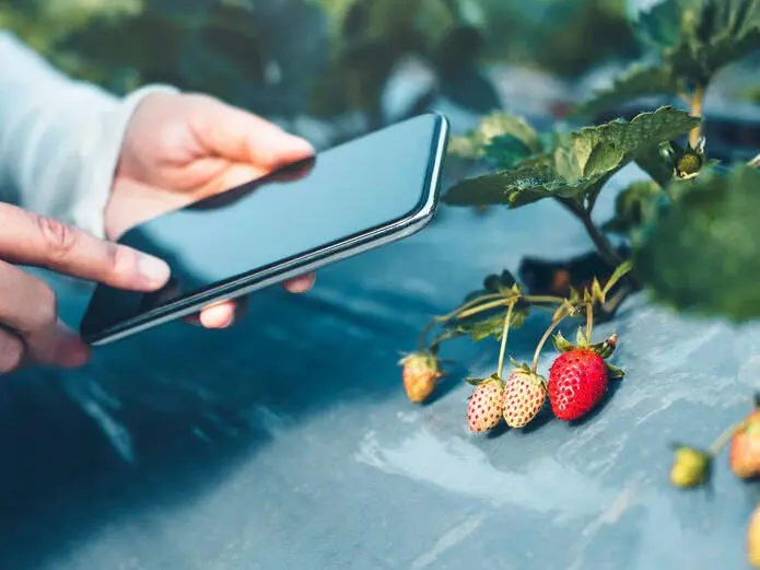 Smarter Garten: Pflanzen-Apps und clevere Technik vereinfachen die Gartenarbeit