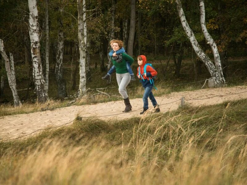 Eine Mutter und ihre zwei Söhne laufen einen Waldweg entlang