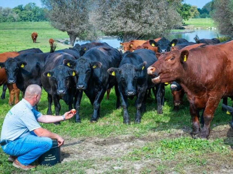 17. Bio-Landpartie in Mecklenburg-Vorpommern