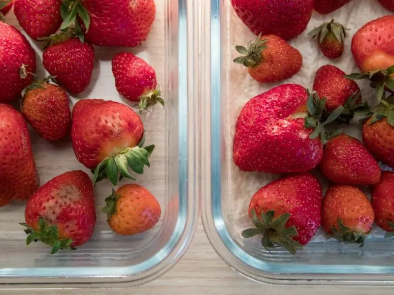 Vergleich Erdbeeren ohne Essigbehandlung (l) und mit Essig (r)