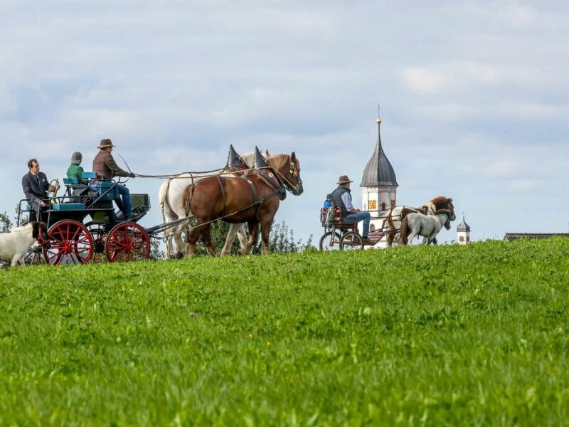 Kutschfahrt - Wetter im Südwesten