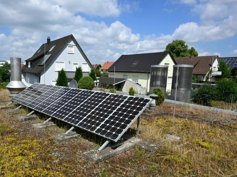 Photovoltaikanlage auf einem begrüntem Dach