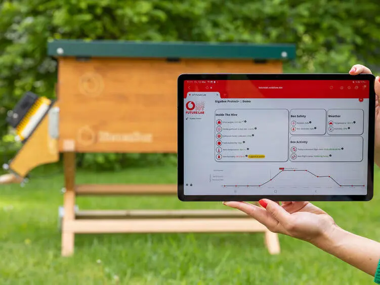 Digitaler Schutz für Bienen aus dem Vodafone IoT Future Lab