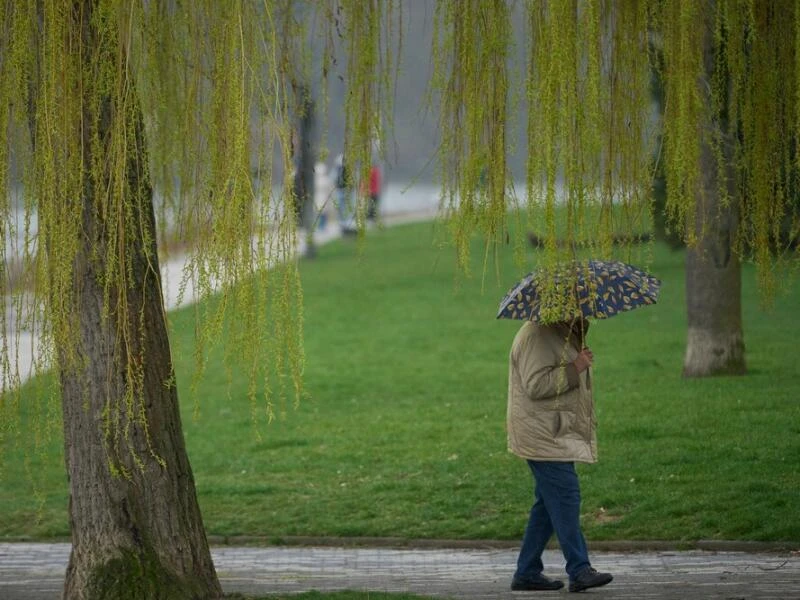 Ein Mann spaziert bei Regen durch die Koblenzer Rheinanlagen