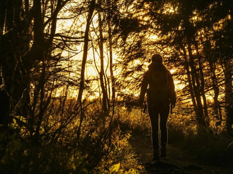 Eine Frau wandert am Feldberg