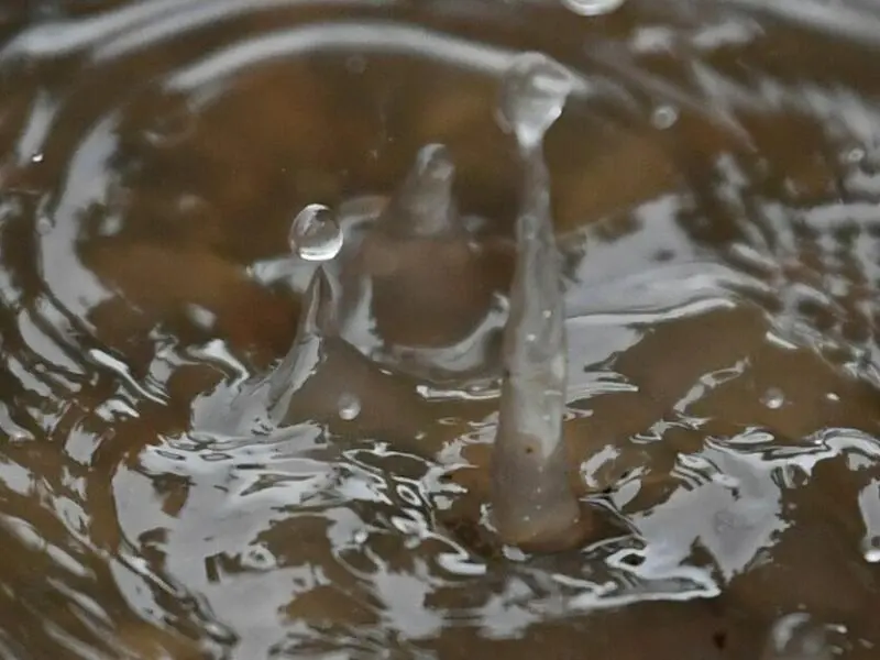 Regen in Freiburg