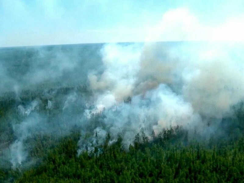 Waldbrand in Sibirien