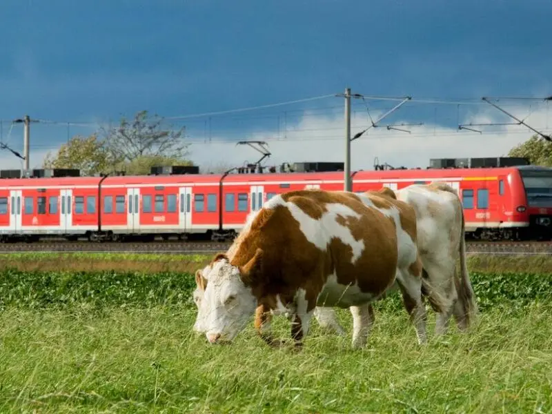 Deutsche Bahn Regionalzug