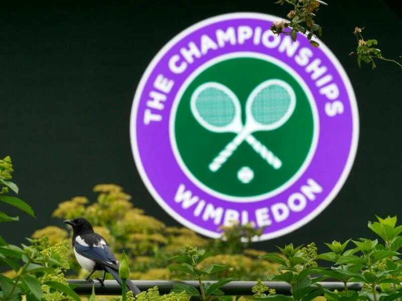 Vor den Wimbledon Championships